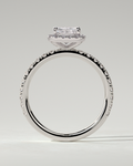 Catherine Halo Radiant Ring