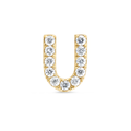 Regal Diamond Earrings Elite - Letter II