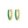 Royal Diamond Earrings Essence
