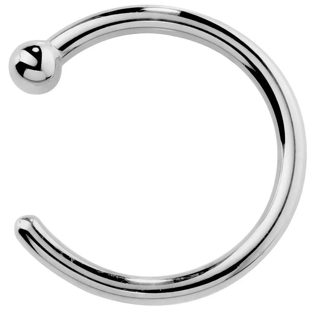 Royal Nose Stud Grandeur