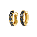 Luminous Diamond Earrings Illumination - Black Diamond Classic