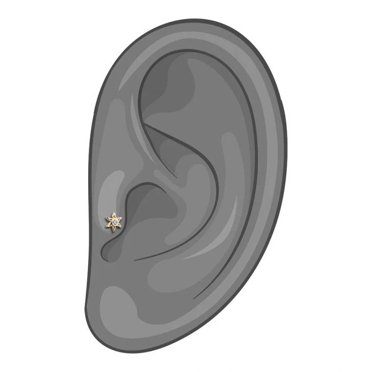 Eternal Ear Piercing Heirloom - Sunburst Cartilage Helix